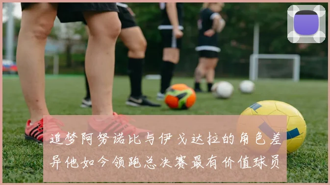 追梦阿努诺比与伊戈达拉的角色差异他如今领跑总决赛最有价值球员