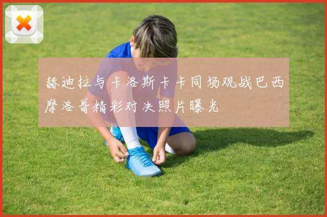 赫迪拉与卡洛斯卡卡同场观战巴西摩洛哥精彩对决照片曝光